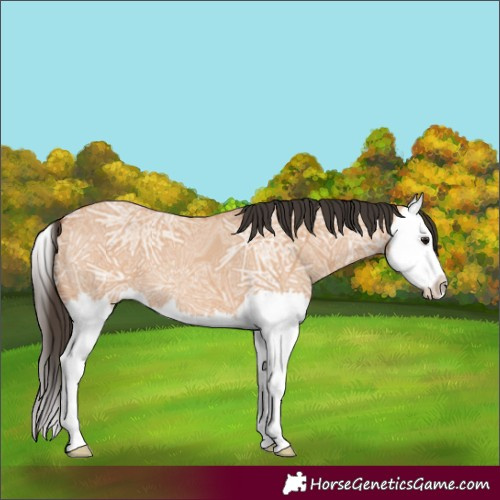 Horse Color:Bay Ice Dun Splash 