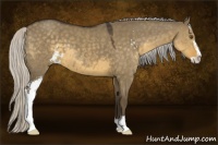 Horse Color:Silver Smoky Grullo Sabino