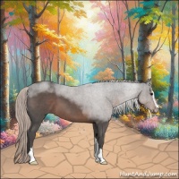 Horse Color:Silver Blue Roan Sabino 