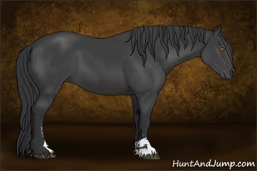 Horse Color:Black Sabino