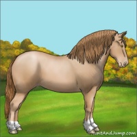 Horse Color:Chestnut Pearl 