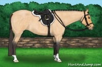 Horse Color:Buckskin Roan 