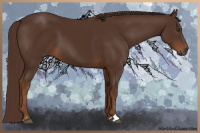 Horse Color:Gray Chestnut Sabino