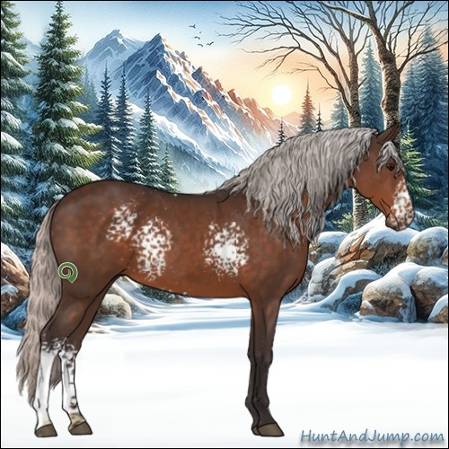 Horse Color:White Spotted Silver Brown Sabino Rabicano