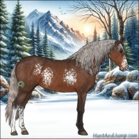 Horse Color:White Spotted Silver Brown Sabino Rabicano
