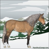 Horse Color:Silver Buckskin Dun Rabicano 