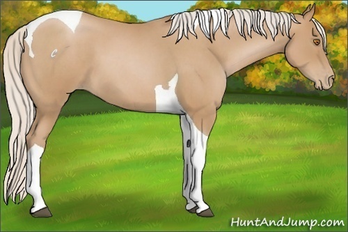 Horse Color:Silver Blue Roan Pearl Tobiano 