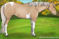 Horse Color:Silver Blue Roan Pearl Tobiano 