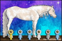 Horse Color:White Spotted Cremello 