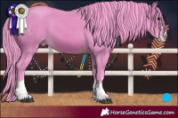 Horse Color:Watercolor Bay 