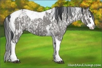 Horse Color:Grullo Sabino Splash Rabicano  and Grullo Roan Splash Tobiano 