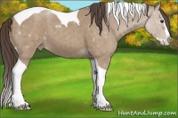 Horse Color:Classic Champagne Splash Tobiano 