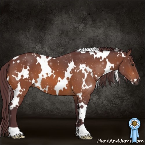 Horse Color:White Spotted Chocolate Bay 