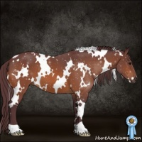 Horse Color:White Spotted Chocolate Bay 