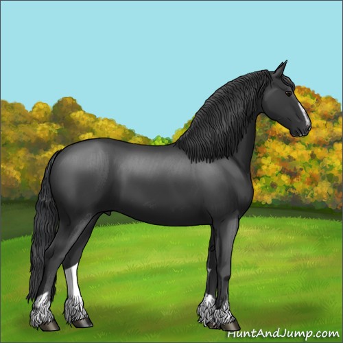 Horse Color:Black Sabino