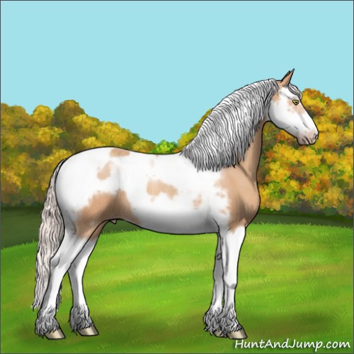 Horse Color:Silver Amber Champagne Splash Tobiano Frame Rabicano 