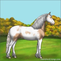 Horse Color:Silver Amber Champagne Splash Tobiano Frame Rabicano 