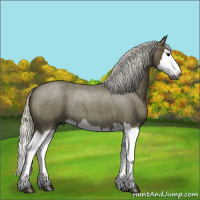 Horse Color:Gray Silver Smoky Blue Roan Splash Rabicano 