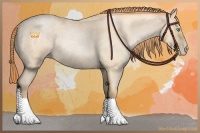 Horse Color:Buckskin Roan Pearl 