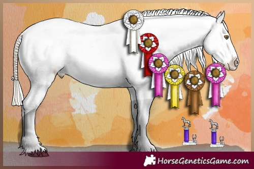 Horse Color:Chocolate Palomino Tobiano Appaloosa 