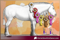 Horse Color:Chocolate Palomino Tobiano Blanket 