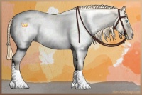 Horse Color:Perlino Roan Dun Appaloosa