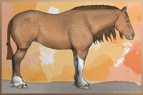 Horse Color:Gray Perlino Tobiano