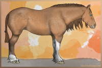 Horse Color:Gray Perlino Tobiano 