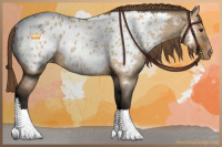 Horse Color:Bay Roan Dun Near Leopard 