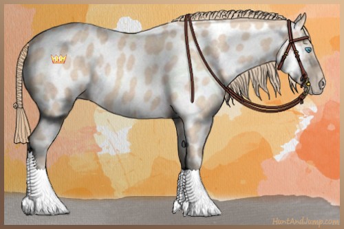 Horse Color:Perlino Near Leopard 