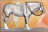 Horse Color:Perlino Appaloosa
