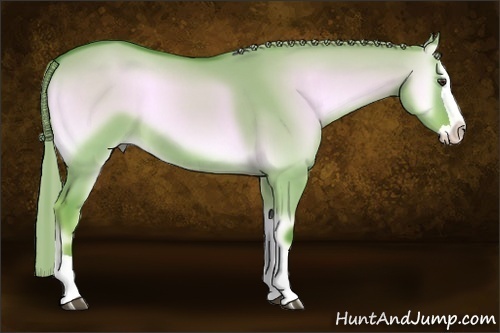 Horse Color:Watercolor Red Dun Onyx Splash 