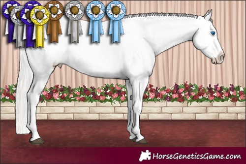 Horse Color:Silver Brown Splash Appaloosa  and Silver Brown Splash Appaloosa 