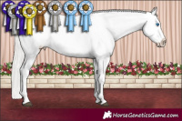 Horse Color:Silver Brown Splash Blanket  and Silver Brown Splash Varnish 