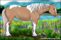Horse Color:Silver Bay Dun Sabino Tobiano Rabicano