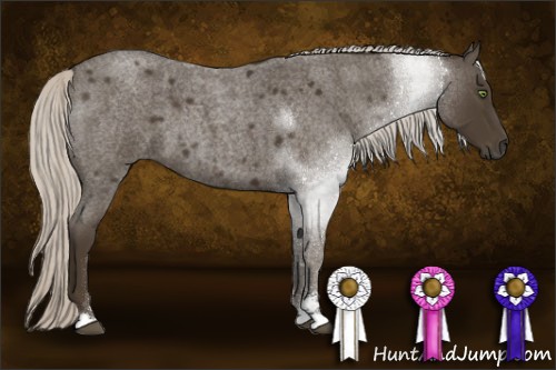 Horse Color:Silver Smoky Blue Roan Sabino 
