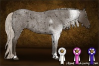 Horse Color:Silver Smoky Blue Roan Sabino 