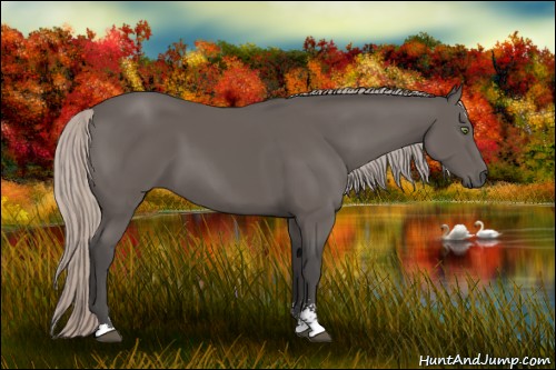 Horse Color:Silver Black Sabino 