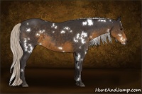 Horse Color:White Spotted Silver Smoky Black 