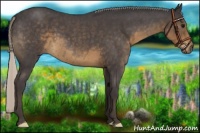 Horse Color:Silver Smoky Blue Roan 