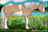 Horse Color:Silver Bay Dun Sabino Tobiano Frame Rabicano 