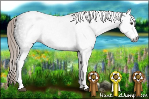 Horse Color:Gray White Spotted Liver Chestnut 