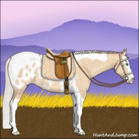 Horse Color:Silver Amber Champagne Dun Splash Tobiano Appaloosa 