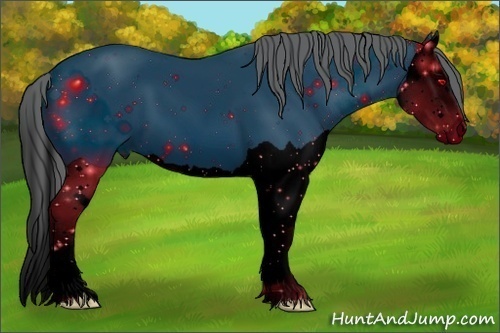 Horse Color:ERROR: UNKNOWN ANOMALY