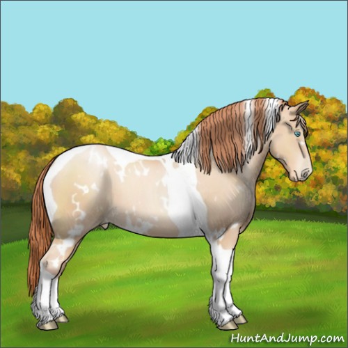 Horse Color:White Spotted Amber Champagne Pearl Tobiano 