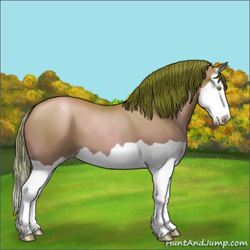 Horse Color:Bay Pearl Splash 
