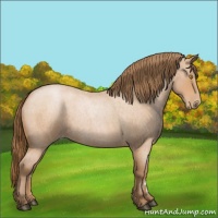 Horse Color:Bay Roan Pearl 