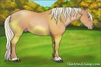 Horse Color:Silver Bay Pearl 