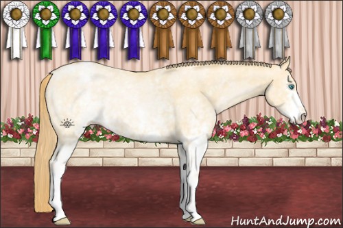 Horse Color:White Spotted Buckskin Pearl Snowflake Varnish