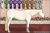 Horse Color:White Spotted Buckskin Pearl Appaloosa 